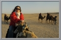 tunisia, atlas, roman, camels-23
